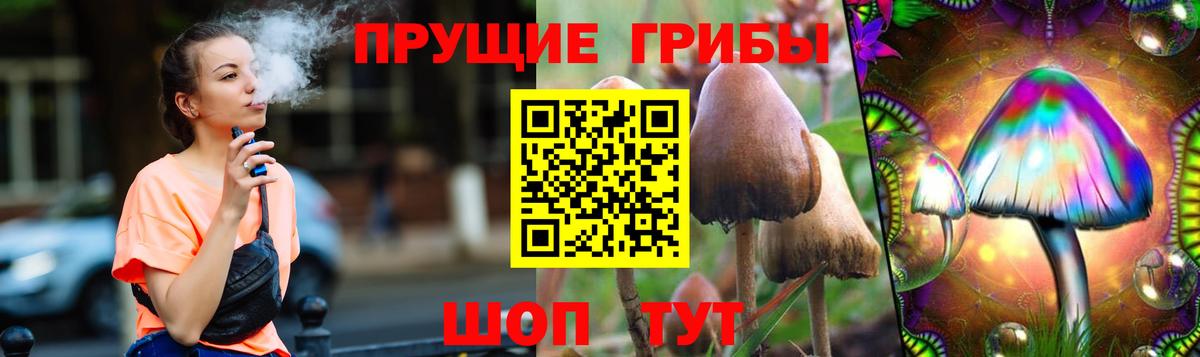 Псилоцибиновые грибы мицелий Великие Луки